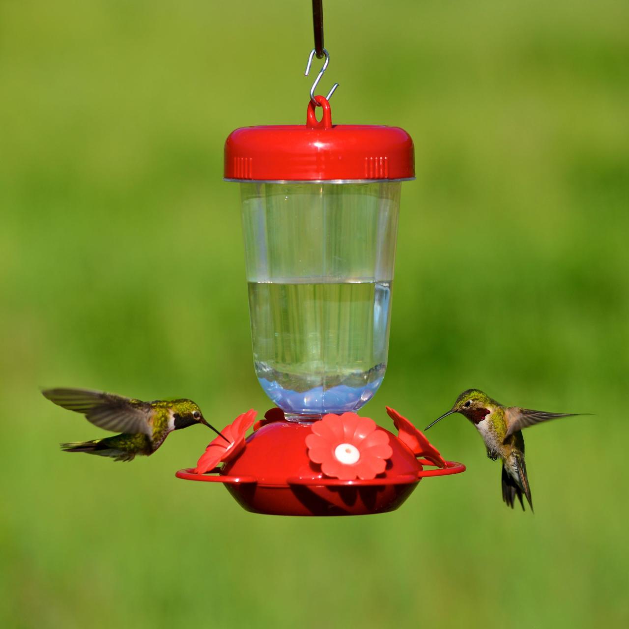 Perky-Pet® “Perky’s Finest” Red Flower Top Fill Plastic Hummingbird ...